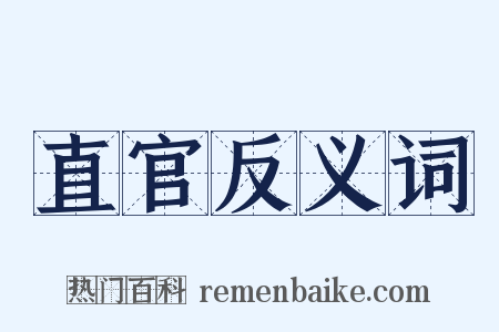直官反义词是什么意思的图片